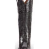 Dan Post Women's Polished Western Boots - Snip Toe