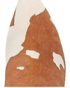 Dingo Women's Mane Tamer Fashion Booties - Pointed Toe 15 Dingo Women's Mane Tamer Fashion Booties - Pointed Toe -Fashion Shoes Store 2000344410 280 P6